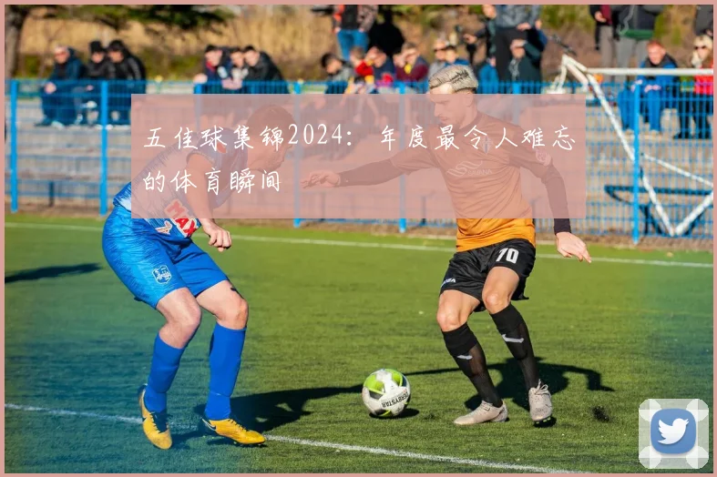 五佳球集锦2024：年度最令人难忘的体育瞬间